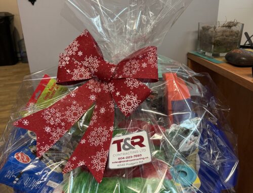 Colour, Win, and Rock Your Yard: T&R’s Holiday Contest Is Back!